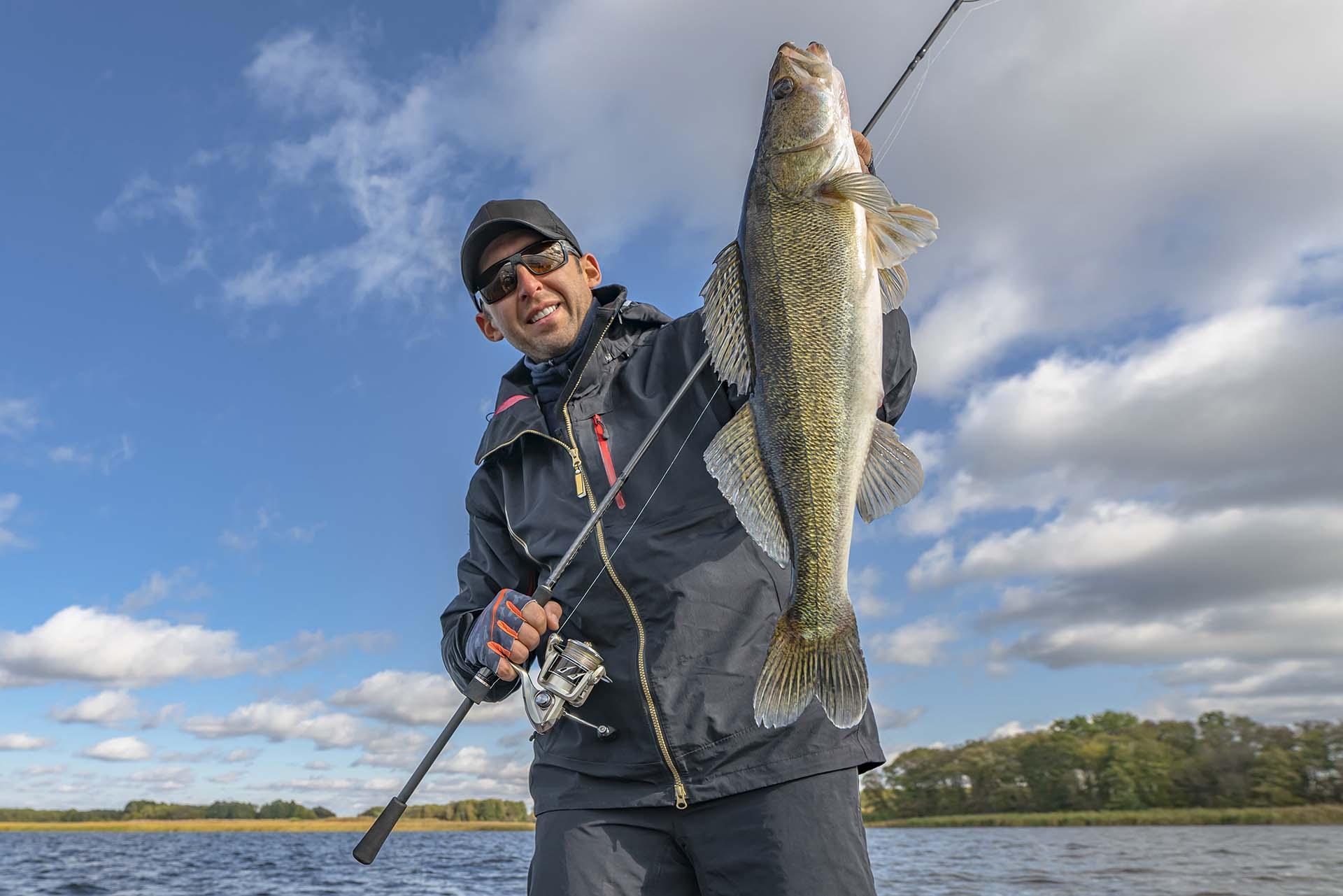 A man holding up a walleye.