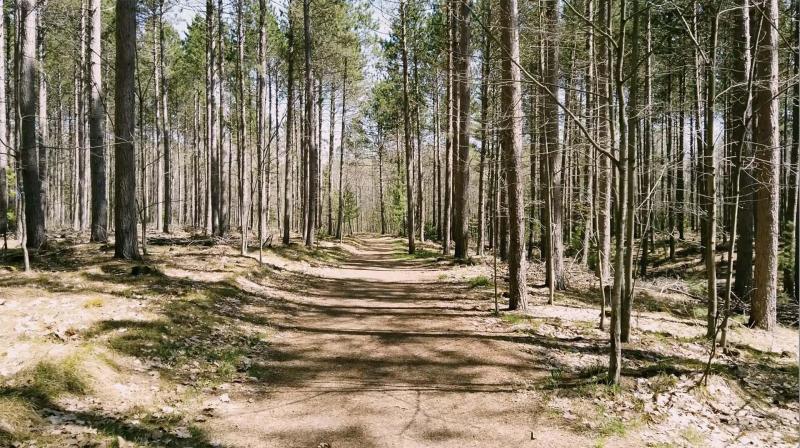 Escanaba's Hidden Gems: Off-the-Beaten-Path Attractions