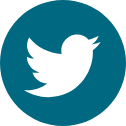 twitter logo